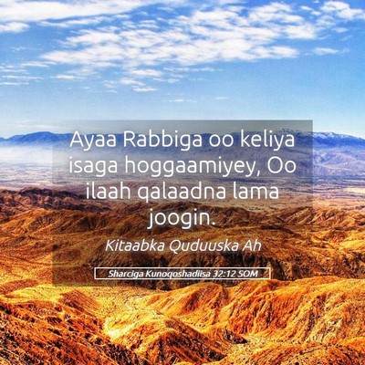 Picture 05 - Sharciga Kunoqoshadiisa 32:12 SOM - Ayaa Rabbiga oo keliya isaga hoggaamiyey, Oo - Bible Verse Picture