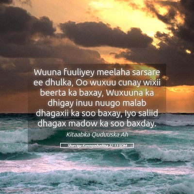 Picture 05 - Sharciga Kunoqoshadiisa 32:13 SOM - Wuuna fuuliyey meelaha sarsare ee dhulka, Oo - Bible Verse Picture