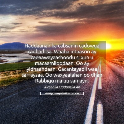 Picture 05 - Sharciga Kunoqoshadiisa 32:27 SOM - Haddaanan ka cabsanin cadowga cadhadiisa, Waaba - Bible Verse Picture