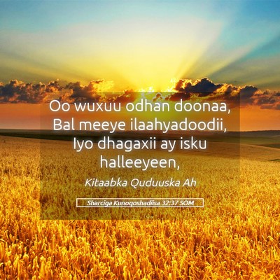 Picture 05 - Sharciga Kunoqoshadiisa 32:37 SOM - Oo wuxuu odhan doonaa, Bal meeye ilaahyadoodii, - Bible Verse Picture