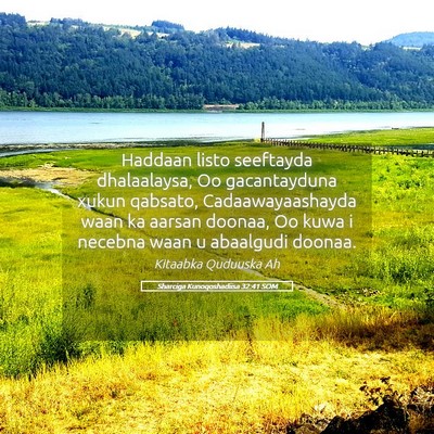 Picture 05 - Sharciga Kunoqoshadiisa 32:41 SOM - Haddaan listo seeftayda dhalaalaysa, Oo - Bible Verse Picture