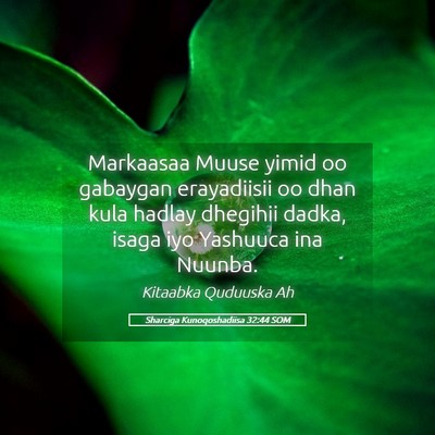Picture 05 - Sharciga Kunoqoshadiisa 32:44 SOM - Markaasaa Muuse yimid oo gabaygan erayadiisii oo - Bible Verse Picture