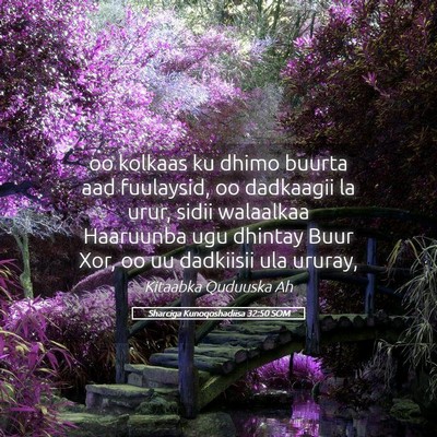 Picture 05 - Sharciga Kunoqoshadiisa 32:50 SOM - oo kolkaas ku dhimo buurta aad fuulaysid, oo - Bible Verse Picture