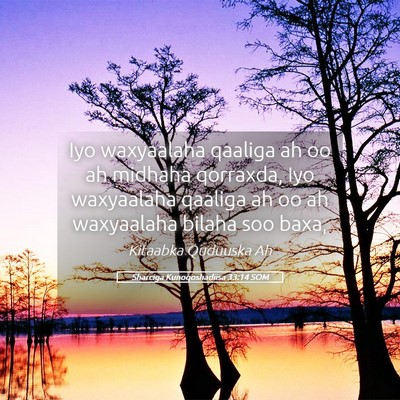 Picture 05 - Sharciga Kunoqoshadiisa 33:14 SOM - Iyo waxyaalaha qaaliga ah oo ah midhaha qorraxda, - Bible Verse Picture
