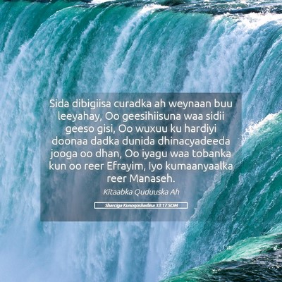 Picture 05 - Sharciga Kunoqoshadiisa 33:17 SOM - Sida dibigiisa curadka ah weynaan buu leeyahay, - Bible Verse Picture