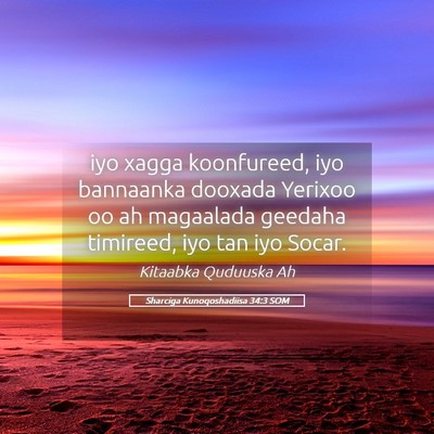 Picture 05 - Sharciga Kunoqoshadiisa 34:3 SOM - iyo xagga koonfureed, iyo bannaanka dooxada - Bible Verse Picture