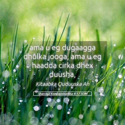 Picture 05 - Sharciga Kunoqoshadiisa 4:17 SOM - ama u eg dugaagga dhulka jooga, ama u eg haadda - Bible Verse Picture