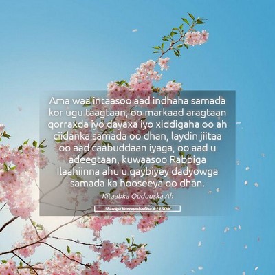 Picture 05 - Sharciga Kunoqoshadiisa 4:19 SOM - Ama waa intaasoo aad indhaha samada kor ugu - Bible Verse Picture