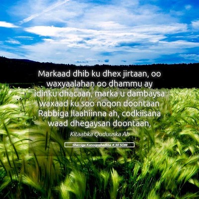 Picture 05 - Sharciga Kunoqoshadiisa 4:30 SOM - Markaad dhib ku dhex jirtaan, oo waxyaalahan oo - Bible Verse Picture