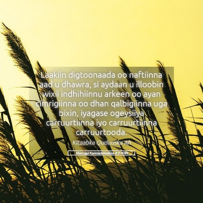 Picture 05 - Sharciga Kunoqoshadiisa 4:9 SOM - Laakiin digtoonaada oo naftiinna aad u dhawra, si - Bible Verse Picture