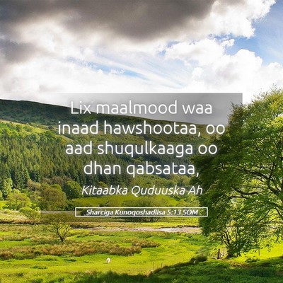 Picture 05 - Sharciga Kunoqoshadiisa 5:13 SOM - Lix maalmood waa inaad hawshootaa, oo aad - Bible Verse Picture