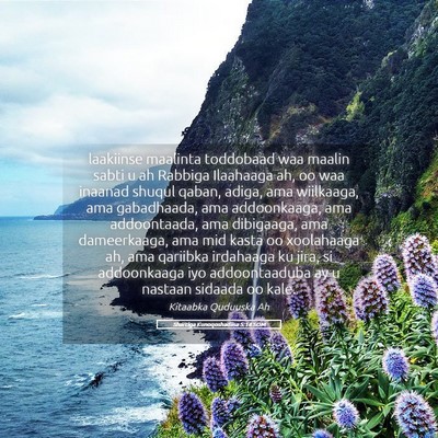 Picture 05 - Sharciga Kunoqoshadiisa 5:14 SOM - laakiinse maalinta toddobaad waa maalin sabti u - Bible Verse Picture