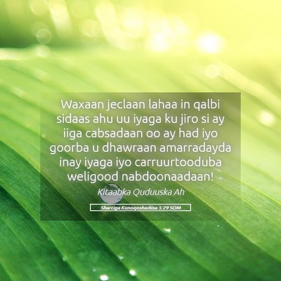 Picture 05 - Sharciga Kunoqoshadiisa 5:29 SOM - Waxaan jeclaan lahaa in qalbi sidaas ahu uu iyaga - Bible Verse Picture
