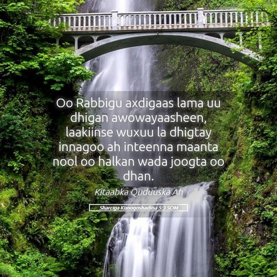 Picture 05 - Sharciga Kunoqoshadiisa 5:3 SOM - Oo Rabbigu axdigaas lama uu dhigan awowayaasheen, - Bible Verse Picture