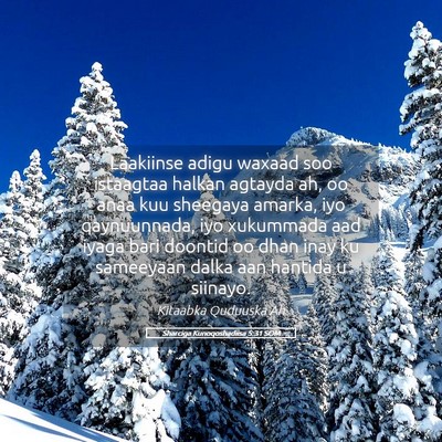 Picture 05 - Sharciga Kunoqoshadiisa 5:31 SOM - Laakiinse adigu waxaad soo istaagtaa halkan - Bible Verse Picture