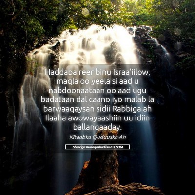 Picture 05 - Sharciga Kunoqoshadiisa 6:3 SOM - Haddaba reer binu Israa'iilow, maqla oo yeela si - Bible Verse Picture