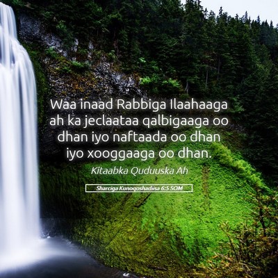 Picture 05 - Sharciga Kunoqoshadiisa 6:5 SOM - Waa inaad Rabbiga Ilaahaaga ah ka jeclaataa - Bible Verse Picture