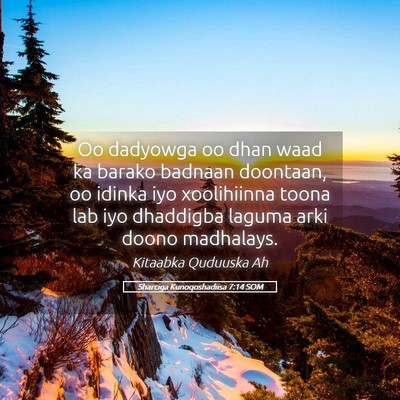 Picture 05 - Sharciga Kunoqoshadiisa 7:14 SOM - Oo dadyowga oo dhan waad ka barako badnaan - Bible Verse Picture