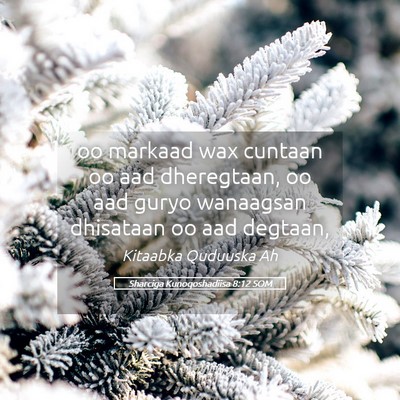 Picture 05 - Sharciga Kunoqoshadiisa 8:12 SOM - oo markaad wax cuntaan oo aad dheregtaan, oo aad - Bible Verse Picture