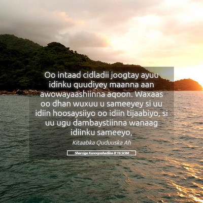 Picture 05 - Sharciga Kunoqoshadiisa 8:16 SOM - Oo intaad cidladii joogtay ayuu idinku quudiyey - Bible Verse Picture