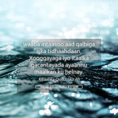 Picture 05 - Sharciga Kunoqoshadiisa 8:17 SOM - waaba intaasoo aad qalbiga iska tidhaahdaan, - Bible Verse Picture