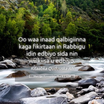Picture 05 - Sharciga Kunoqoshadiisa 8:5 SOM - Oo waa inaad qalbigiinna kaga fikirtaan in - Bible Verse Picture