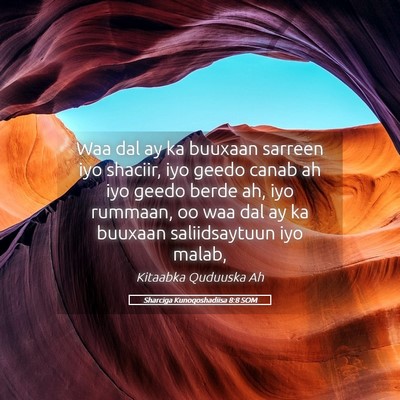 Picture 05 - Sharciga Kunoqoshadiisa 8:8 SOM - Waa dal ay ka buuxaan sarreen iyo shaciir, iyo - Bible Verse Picture