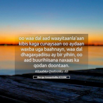 Picture 05 - Sharciga Kunoqoshadiisa 8:9 SOM - oo waa dal aad waayitaanla'aan kibis kaga - Bible Verse Picture