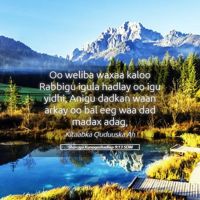 Picture 05 - Sharciga Kunoqoshadiisa 9:13 SOM - Oo weliba waxaa kaloo Rabbigu igula hadlay oo igu - Bible Verse Picture