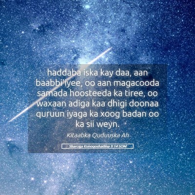 Picture 05 - Sharciga Kunoqoshadiisa 9:14 SOM - haddaba iska kay daa, aan baabbi'iyee, oo aan - Bible Verse Picture