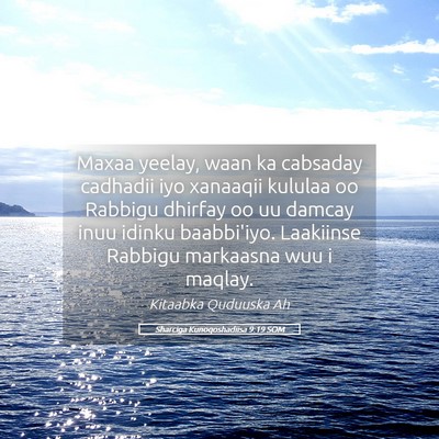 Picture 05 - Sharciga Kunoqoshadiisa 9:19 SOM - Maxaa yeelay, waan ka cabsaday cadhadii iyo - Bible Verse Picture