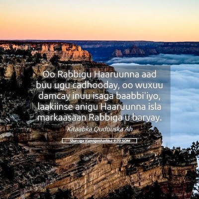 Picture 05 - Sharciga Kunoqoshadiisa 9:20 SOM - Oo Rabbigu Haaruunna aad buu ugu cadhooday, oo - Bible Verse Picture