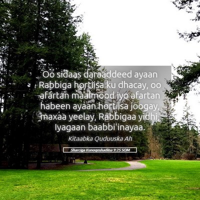 Picture 05 - Sharciga Kunoqoshadiisa 9:25 SOM - Oo sidaas daraaddeed ayaan Rabbiga hortiisa ku - Bible Verse Picture
