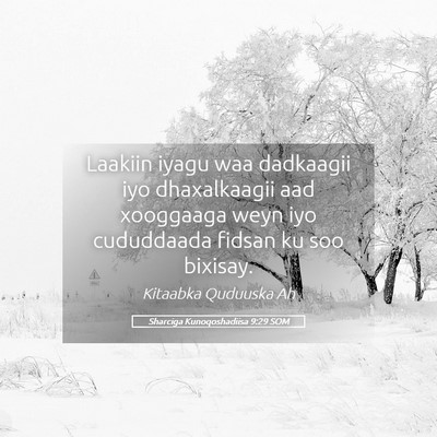 Picture 05 - Sharciga Kunoqoshadiisa 9:29 SOM - Laakiin iyagu waa dadkaagii iyo dhaxalkaagii aad - Bible Verse Picture