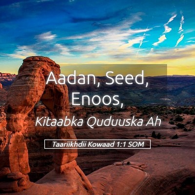 Picture 05 - Taariikhdii Kowaad 1:1 SOM - Aadan, Seed, - Bible Verse Picture