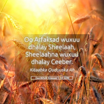 Picture 05 - Taariikhdii Kowaad 1:18 SOM - Oo Arfaksad wuxuu dhalay Sheelaah, Sheelaahna - Bible Verse Picture