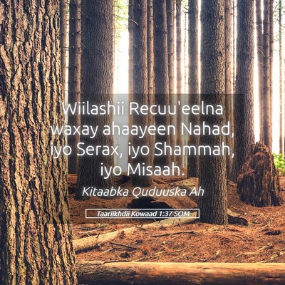 Picture 05 - Taariikhdii Kowaad 1:37 SOM - Wiilashii Recuu'eelna waxay ahaayeen Nahad, iyo - Bible Verse Picture
