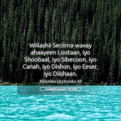 Picture 05 - Taariikhdii Kowaad 1:38 SOM - Wiilashii Seciirna waxay ahaayeen Lootaan, iyo - Bible Verse Picture
