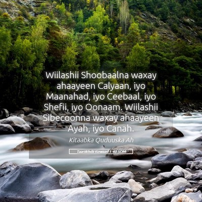 Picture 05 - Taariikhdii Kowaad 1:40 SOM - Wiilashii Shoobaalna waxay ahaayeen Calyaan, iyo - Bible Verse Picture