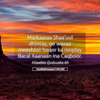 Picture 05 - Taariikhdii Kowaad 1:49 SOM - Markaasaa Shaa'uul dhintay, oo waxaa meeshiisii - Bible Verse Picture