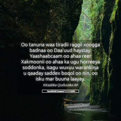 Picture 05 - Taariikhdii Kowaad 11:11 SOM - Oo tanuna waa tiradii raggii xoogga badnaa oo - Bible Verse Picture