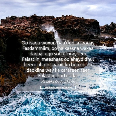 Picture 05 - Taariikhdii Kowaad 11:13 SOM - Oo isagu wuxuu Daa'uud la joogay Fasdammiim, oo - Bible Verse Picture