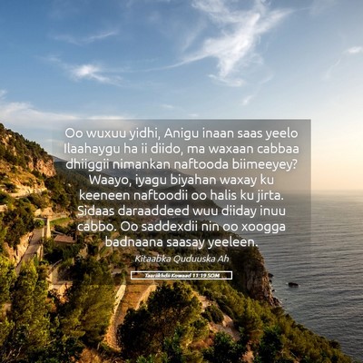 Picture 05 - Taariikhdii Kowaad 11:19 SOM - Oo wuxuu yidhi, Anigu inaan saas yeelo Ilaahaygu - Bible Verse Picture