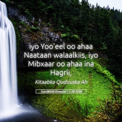 Picture 05 - Taariikhdii Kowaad 11:38 SOM - iyo Yoo'eel oo ahaa Naataan walaalkiis, iyo - Bible Verse Picture