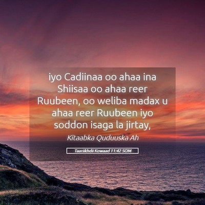 Picture 05 - Taariikhdii Kowaad 11:42 SOM - iyo Cadiinaa oo ahaa ina Shiisaa oo ahaa reer - Bible Verse Picture