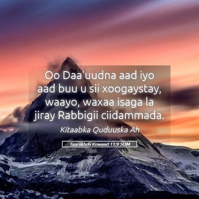 Picture 05 - Taariikhdii Kowaad 11:9 SOM - Oo Daa'uudna aad iyo aad buu u sii xoogaystay, - Bible Verse Picture