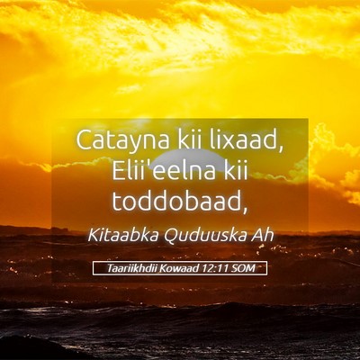 Picture 05 - Taariikhdii Kowaad 12:11 SOM - Catayna kii lixaad, Elii'eelna kii - Bible Verse Picture