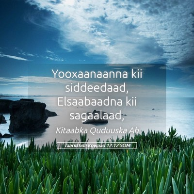 Picture 05 - Taariikhdii Kowaad 12:12 SOM - Yooxaanaanna kii siddeedaad, Elsaabaadna kii - Bible Verse Picture