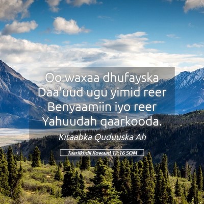 Picture 05 - Taariikhdii Kowaad 12:16 SOM - Oo waxaa dhufayska Daa'uud ugu yimid reer - Bible Verse Picture