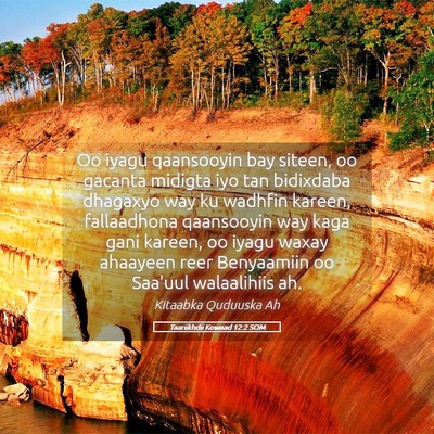 Picture 05 - Taariikhdii Kowaad 12:2 SOM - Oo iyagu qaansooyin bay siteen, oo gacanta - Bible Verse Picture